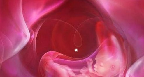 在天津医科大学第二医院做试管婴儿要多少钱？成功率怎么样？附试管怀孕机构名单一览