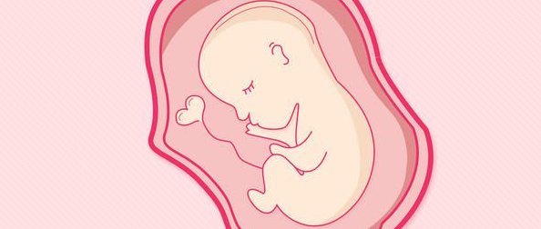 试管婴儿自然周期取卵要多少钱？试管婴儿取卵时疼不疼？