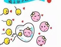 2026年国内十大试管医院的排名是怎么样的？国内三代试管医院哪家好