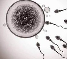 做一次试管婴儿要多少钱？如何节约做三代试管婴儿的费用？