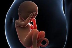 三代试管只有3个囊胚怎么办？