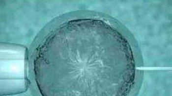 深圳热门试管婴儿医院有哪些？这7家试管婴儿医院均上榜！