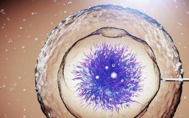 试管婴儿的费用标准与成本分析