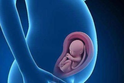 2026在固原市罗氏易位能做三代试管婴儿生子吗，相互易位和罗氏易位有什么区别？